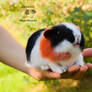 Guinea pig needle felted toy