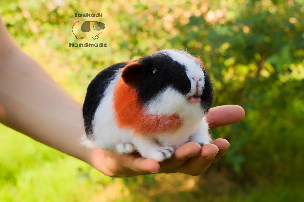 Guinea pig needle felted toy