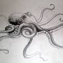 Tako Octopus