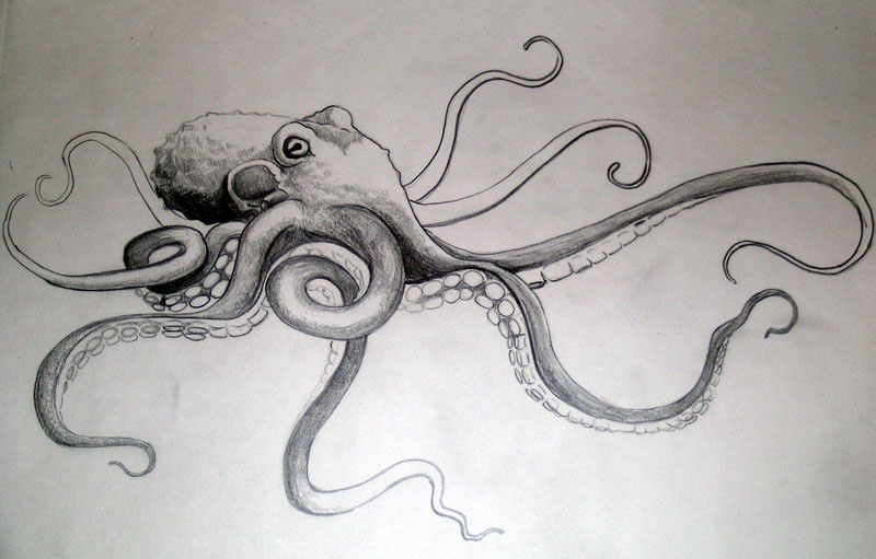 Tako Octopus