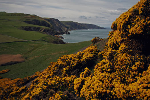 St Abbs III