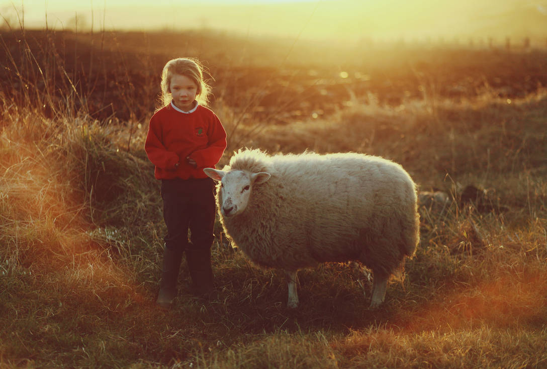 Люди ягнята. Девушка с бараном. Фотосессия с овцами. Человек Овечка. Девочка с ягненком.