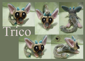 Trico