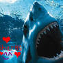 I Love Sharks