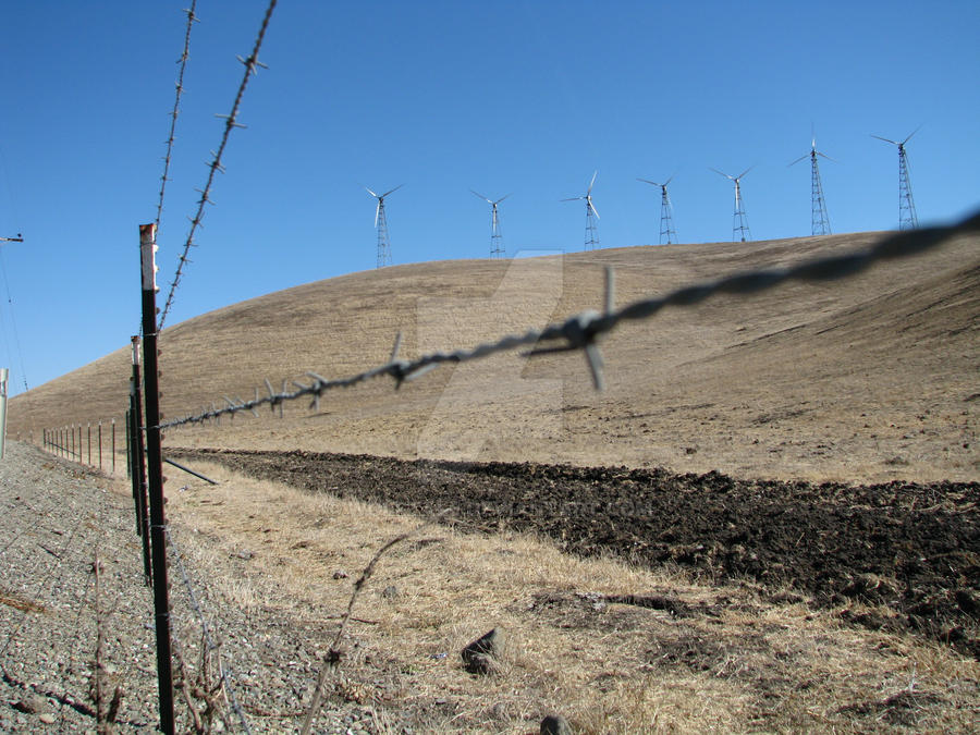 Barbwire fence