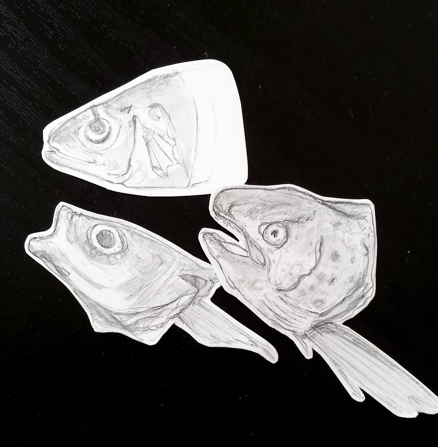 Pinterest Fish Head Fish heads by quinqii on DeviantArt