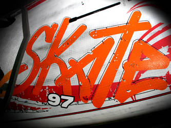 Fanatic Skate 2