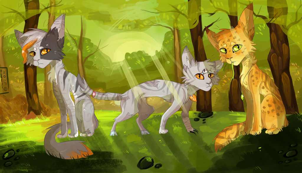 Shade by Hureji Shade by Hureji