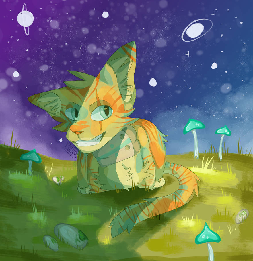 Under the Night Sky by Hureji Under the Night Sky by Hureji