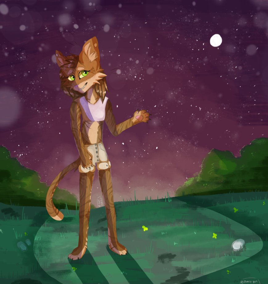 Starry Eyed by Hureji Starry Eyed by Hureji