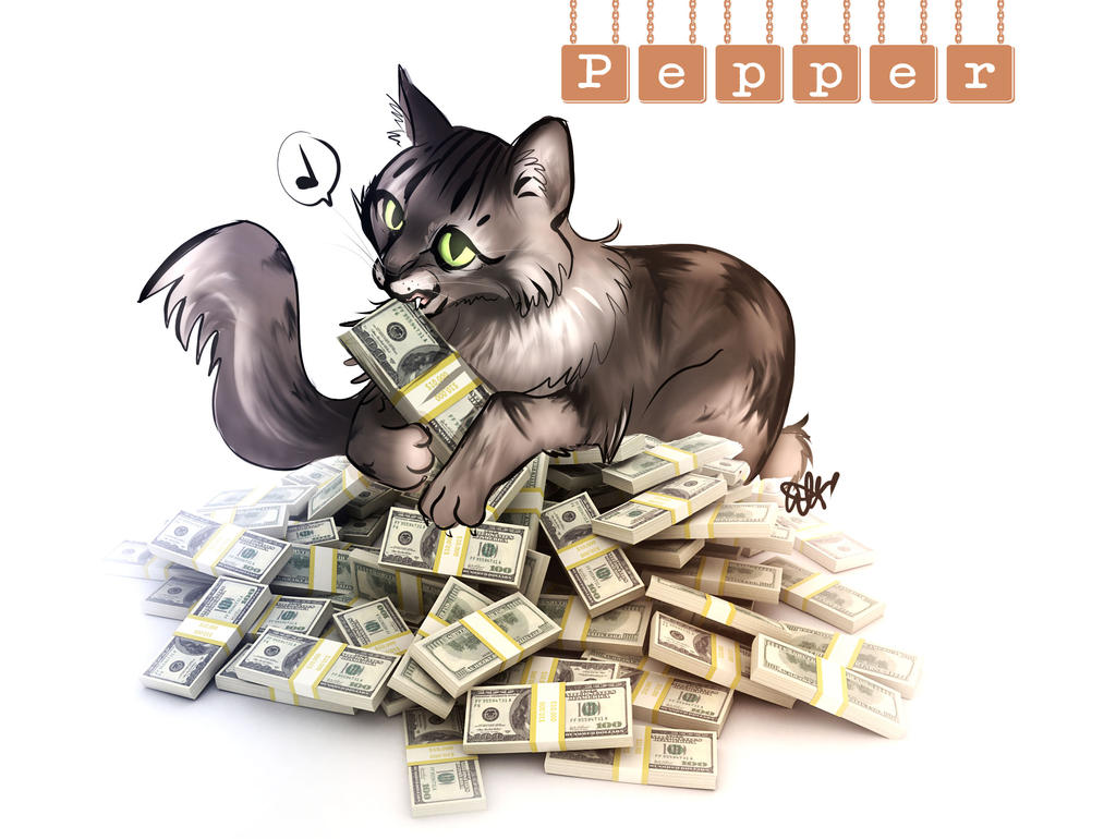 Pepper the cashcat!