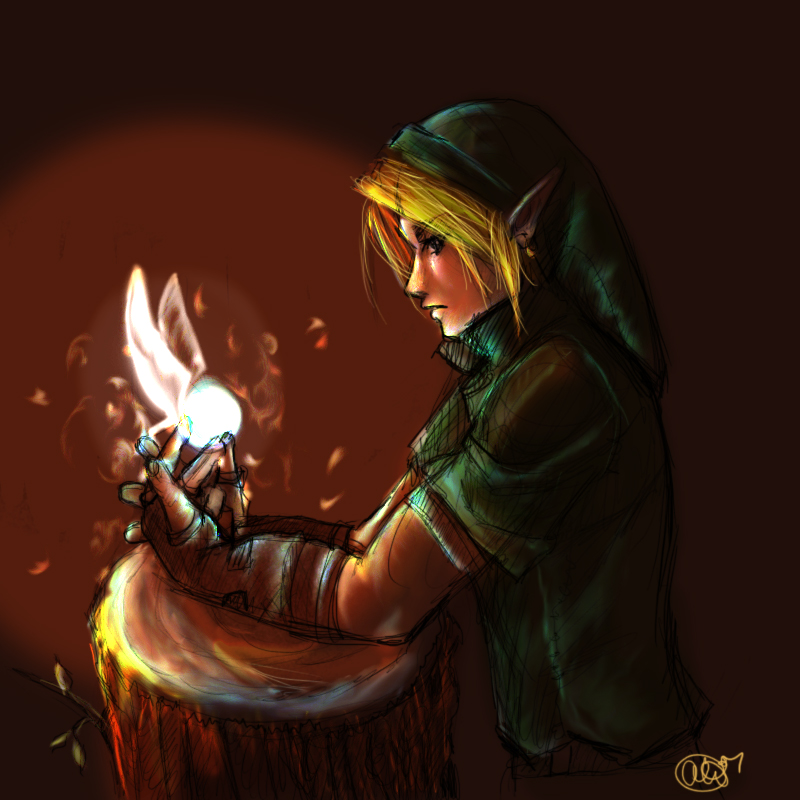 Link and Navi