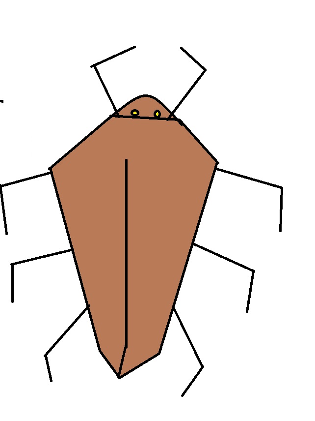 Cockroach by luizhenriquepeixotov on DeviantArt