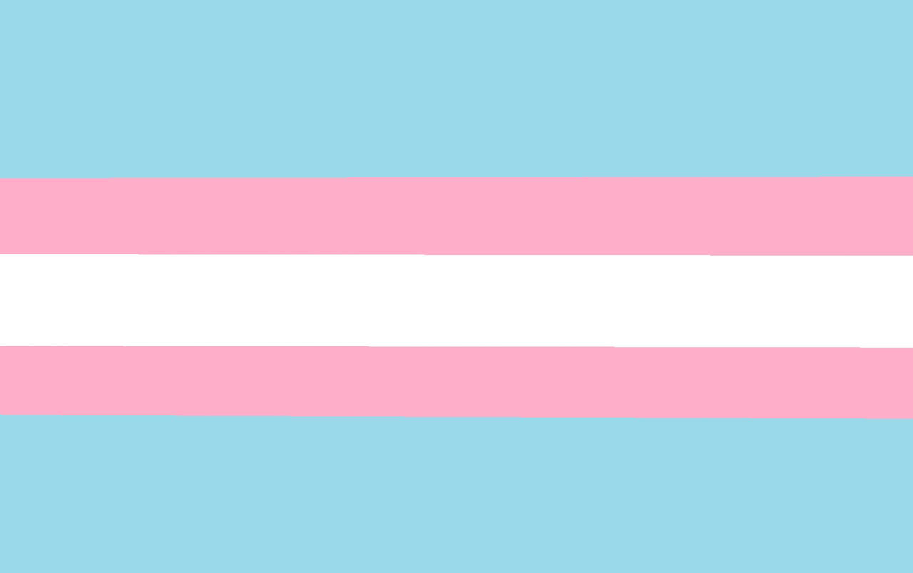 Trans Flags by luizhenriquepeixotov on DeviantArt