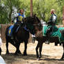 More Knight Joust Stock 001