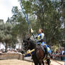 More Knight Joust Stock 002