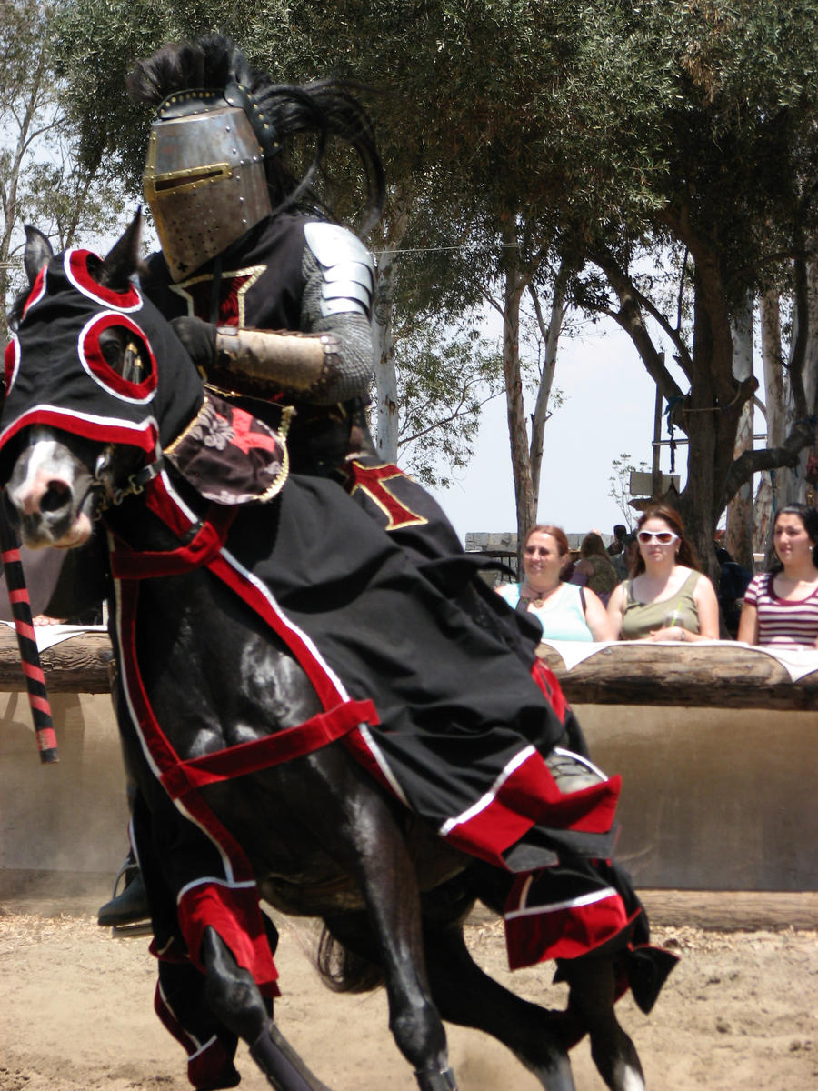 More Knight Joust Stock 024