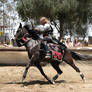 More Knight Joust Stock 046