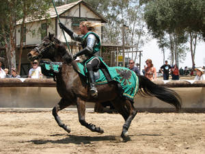 More Knight Joust Stock 049