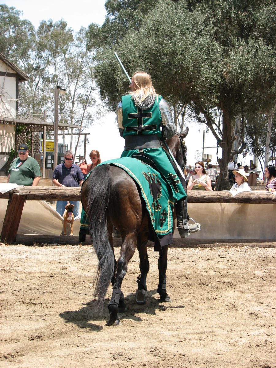 More Knight Joust Stock 054