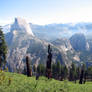 Free Stock Yosemite Valley