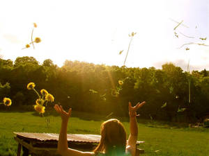 Throwing Dandelions