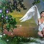 ANGEL THINKING