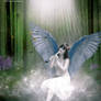 SEE THE MAGIC IN ALL THINGS