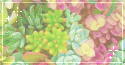 succulents. -f2u