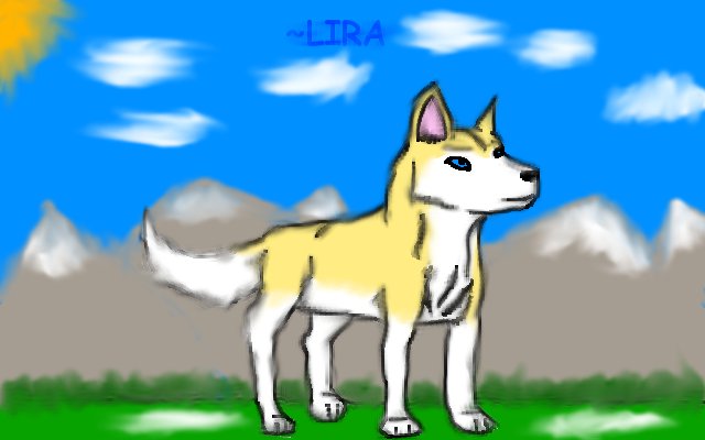 Lira- scrap