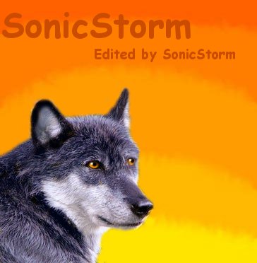 SonicStorm avatar