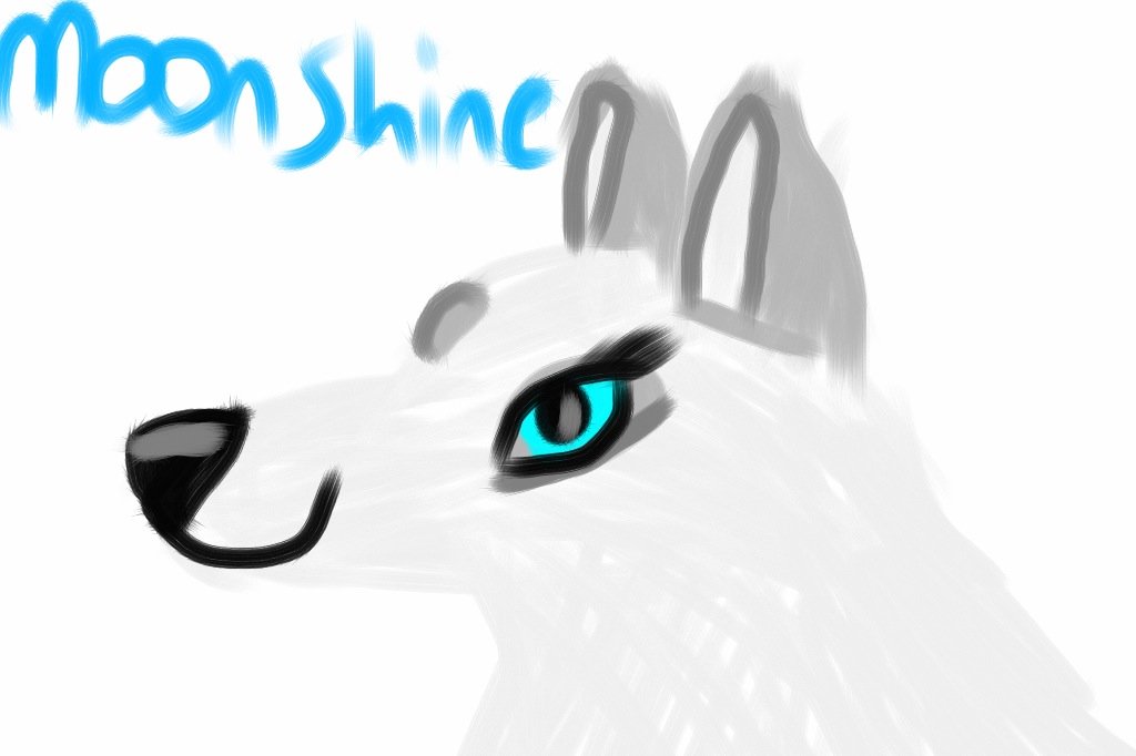 MoonShine sketch