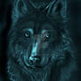 Wolf series- Arctic wolf