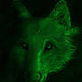 Green - Wolf series