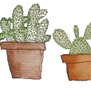 F2U | Cactus Plant Divider