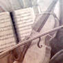 violin