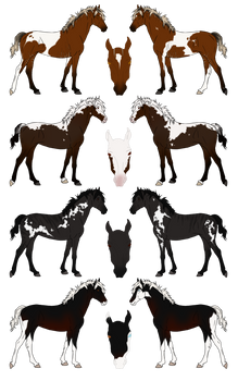 For Barbaro