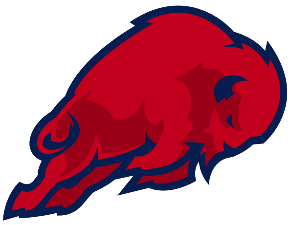 Buffalo Bills Logo Concept