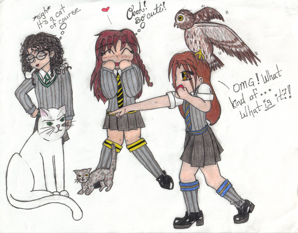 Hogwarts friends and our pets