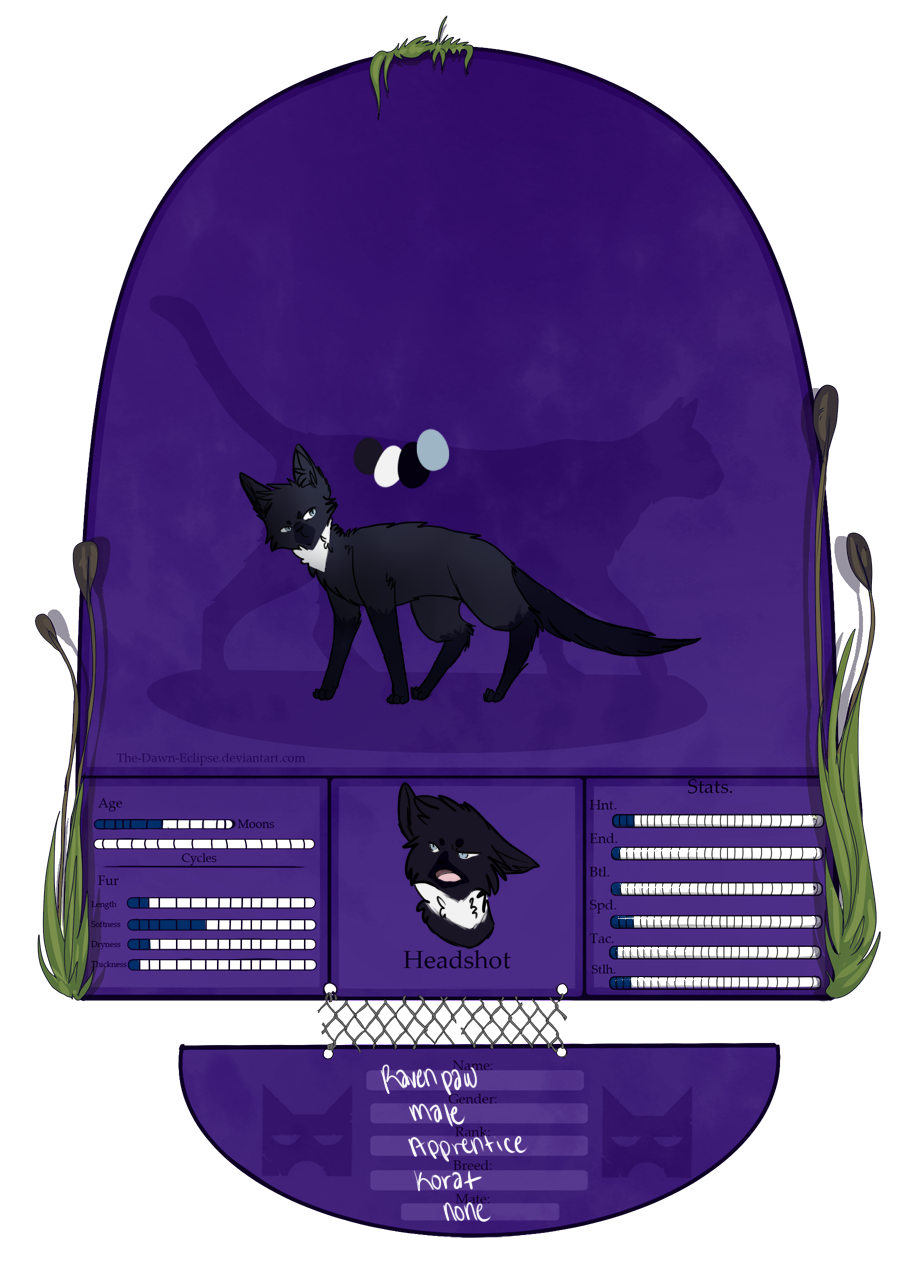 Ravenpaw | Shadowclan Apprentice