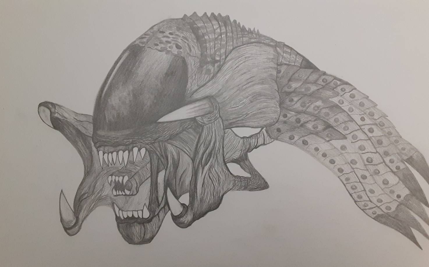 Vector Drawing Predalien Predalien by Bryan20020 on DeviantArt