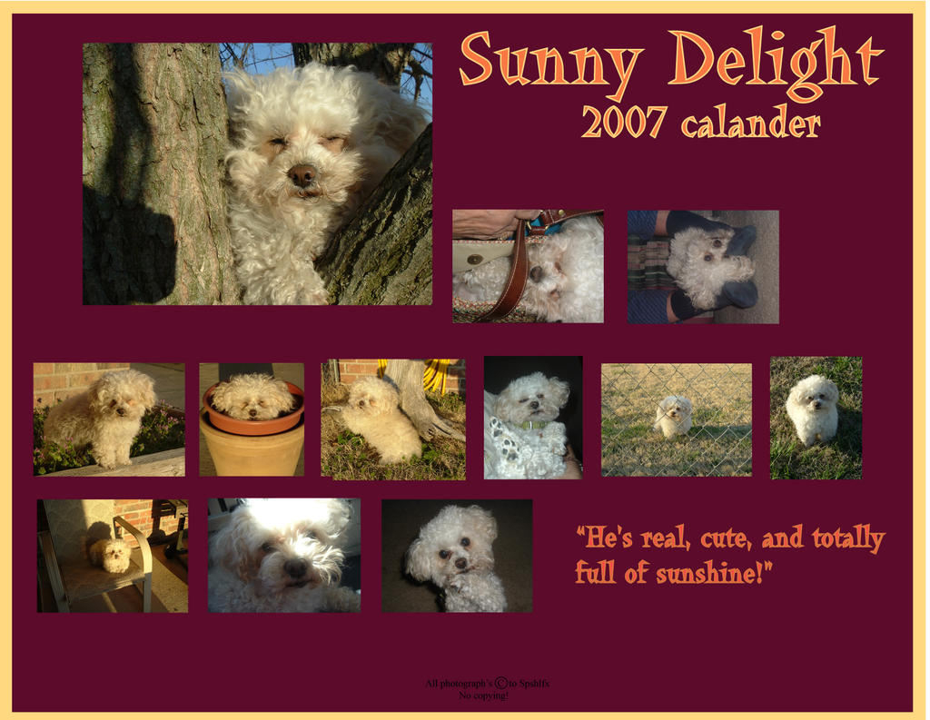 Sunny calander