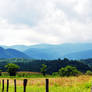 Cades Cove