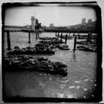 At the Pier by toy-camera