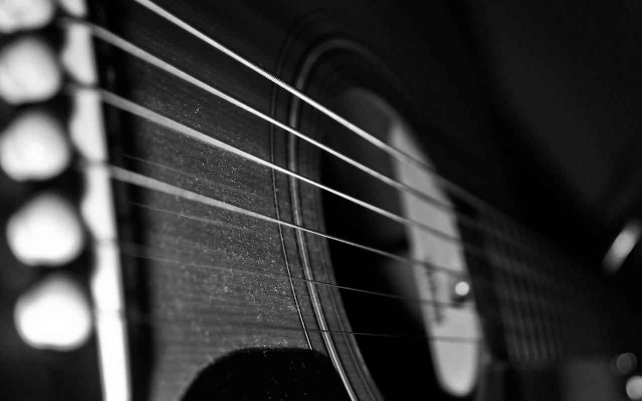 Guitar