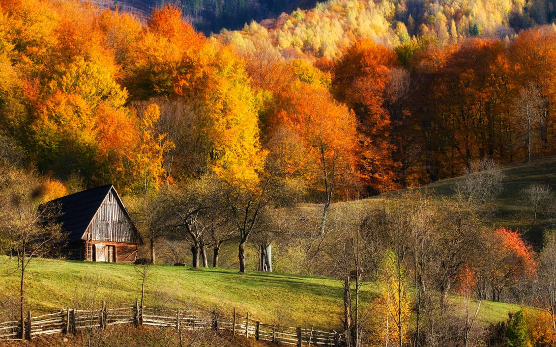 Осенний пейзаж. Золотая осень в деревне. Смоленская деревня осень. Пейзаж ранняя осень. Сентябрьский пейзаж.