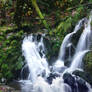 oregon waterfall 3