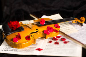 The petals of melody