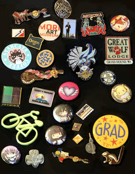 My Pins