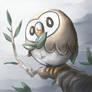 Rowlet